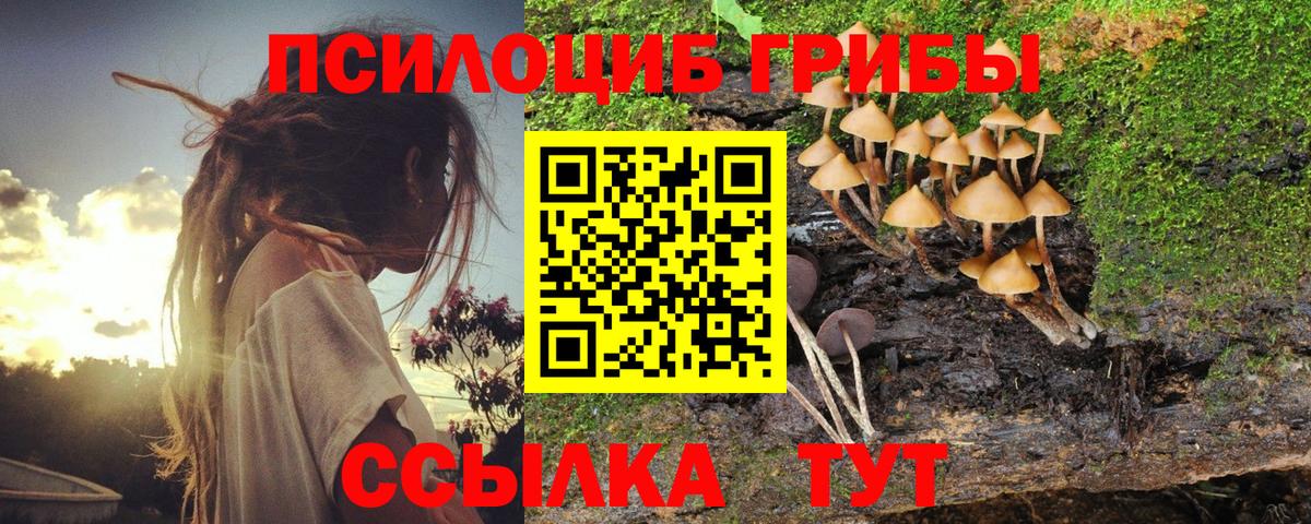 Галлюциногенные грибы Psilocybine cubensis  Вход с VPN  Сызрань 